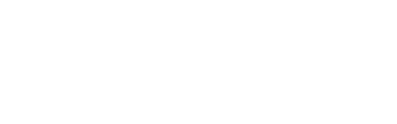 Альянс Логістик